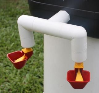 Double outlet Cup Drinker / Waterer for 6 8 Layers Great for Chickens 