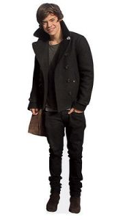 Harry Styles Mini Size Cardboard Cutout Real Stand Up Merchandise