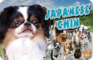 Dog Dish Placemat MADE IN USA NEW Japanese Chin