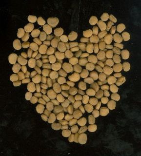   100 Woods Grown Ginseng Seeds. NOW is the best time to plant in wild
