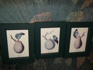 PICTURES WITH DIFFERENT PEARS FRUIT PAINTED GREEN FRAMES