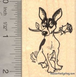 Rat Terrier with Rose Rubber Stamp, Valentines Day G15906 WM Love 