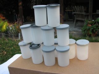   Geo Cache Empty Film Containers Canisters Geo caching Green Recycle