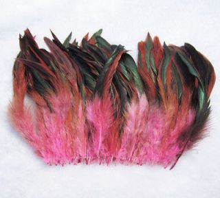 pink feathers in Feathers