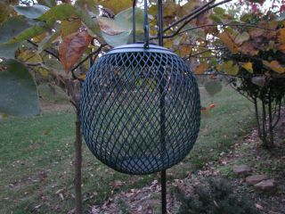   & Outdoor Living  Bird & Wildlife Accessories  Seed Feeders