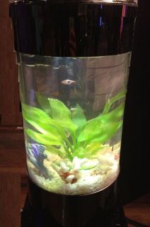   Gallon Cylinder Acrylic Aquarium Fish Tank BAYSHORE ROUND freshwater