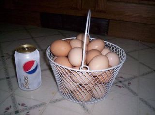 New round WHITE Rubber Coated Wire Egg Basket for chicken eggs