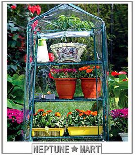greenhouse in Greenhouses