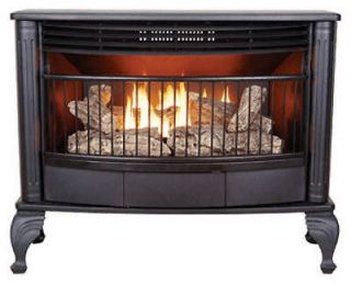Bainbridge 25,000 btu Gas Stove Floor Heater Dual Fuel w/ Thermostat 