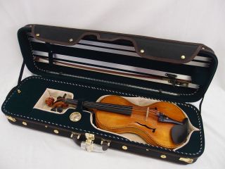    VC950​GS 4/4 Pro Enhaced Wooden Violin Case I + free violin string
