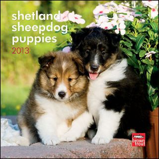 Sheltie Puppies 2013 Mini Wall Calendar