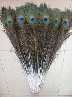 Of 50 Pcs natural beautiful big eyes Natural Peacock Feathers 28 32 