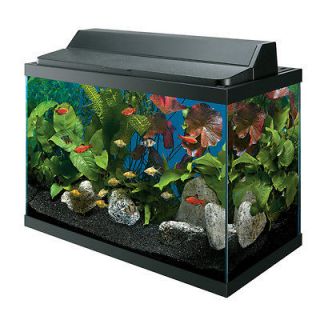 20 gallon fish tank in Aquariums