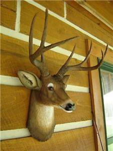 BUCK DEER HEAD 8 POINT LARGE WHITETAIL MOUNT TAXIDERMY CABIN LODGE LOG 