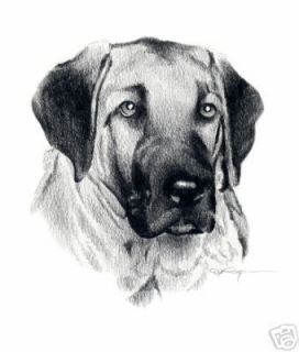 ANATOLIAN SHEPHERD Pencil DOG Drawing ART 8 x 10 Print Signed DJR