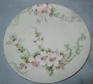 Vintage MZ Austria Plate Moritz Zdekauer Hand Painted Floral Germany