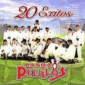 20 Exitos by Banda Pelillos CD, Feb 2006, Fonovisa