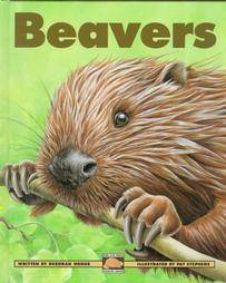Beavers by Deborah Hodge 1998, Hardcover