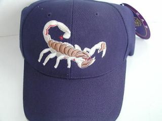 Scorpion High School Spirit Football Basketball Baseball Cap Hat w 