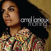Morning by Amel Larrieux CD, Apr 2006, Bliss Life