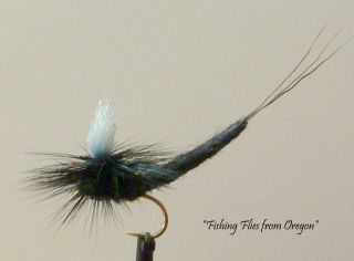 dz .Rogers Adult Black Extended Body Mayfly (Fishing Flies from 