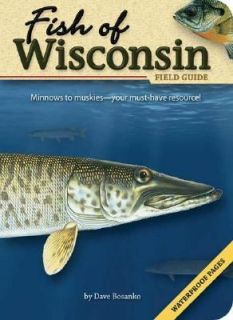 Fish of Wisconsin Field Guide by Dave Bosanko 2007, Paperback
