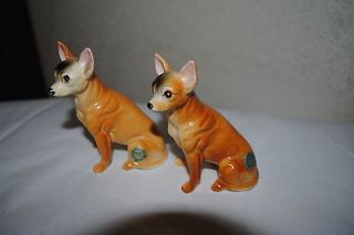 Collectibles  Animals  Dogs  Chihuahua