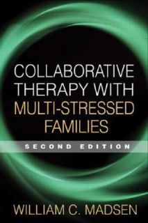   Stressed Families by William C. Madsen 2007, Paperback, Revised