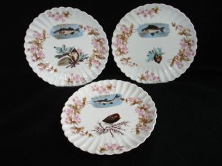 Carlsbad Austria china 3 8.5 inch fish plates pink flowers ca 1900 