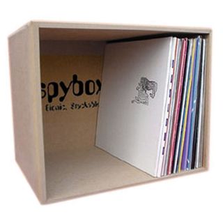 Spybox 10 Vinyl Record Storage Box 110