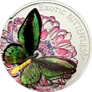 ornithoptera in Butterflies & Moths