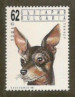 Dog Art Postage Stamp BLACK & AND TAN or TOY MANCHESTER TERRIER 