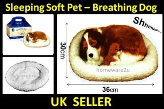 Sleeping Pet Breathing Cute Puppy Soft Animated Snoozing Doggy Animals 
