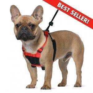 Sporn NO PULL Red Mesh Dog Harness   Prevents Pulling