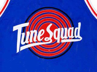 space jam tune squad jersey in Clothing, 