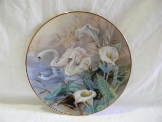 THE SWANS COLLECTOR PLATE by LENA LIU ~ ON THE WINGS OF SNOW 