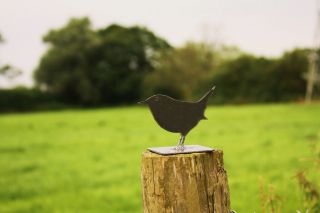 Wren Bird Fence Post Finials Toppers, Protector, Garden Ornament 