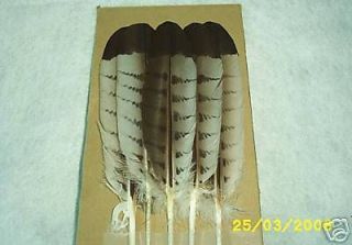 Fan Set, Hawk Tail, Hand Painted, 5 Feather