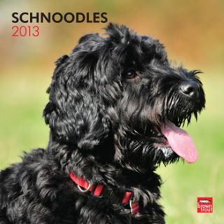 Home Dog Gifts for Pet Lovers Schnoodles 2013 Square Wall Calendar