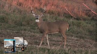 Cabelas Archers Choice® Severe Whitetail Disorder DVDs
