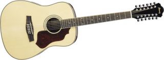 Ibanez SGT122 SAGE SERIES 12  String Acoustic Guitar  Musicians 