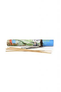 Terre Doc Travel Diary Incense Sets   Anthropologie