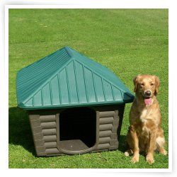 Insulated Dog Houses  Dog Houses  