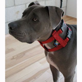 Cesar Millan Illusion Dog Collar & Leash System (Click for Larger 