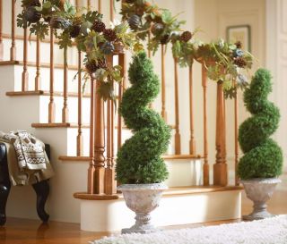 Springray Spiral Topiary with Resin Base   Topiaries   Home Accents 