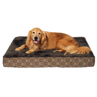 Orthopedic Foam Dog Bed Large Pet Beds for Dogs & Cats   1800PetMeds