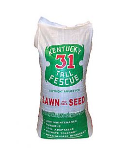 Kentucky 31 Tall Fescue Grass Seed, 50 lb.   6859229  Tractor Supply 