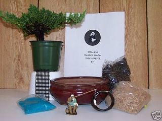 Japanese Juniper Bonsai Tree starter kit with Live Tree