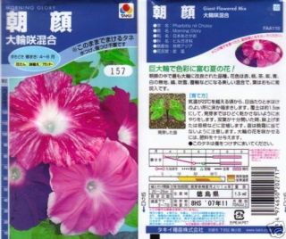 Japanese Morning Glory Seeds Giant Bloom Mixture