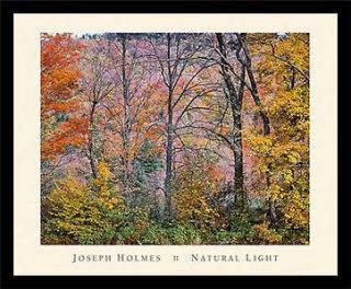 TREES IN A FIELDforest art FRAMED PRINT Joseph Holmes